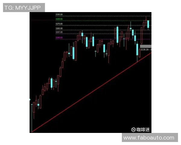 坦珀利与正义竞猜的精彩对决分析与预测策略分享