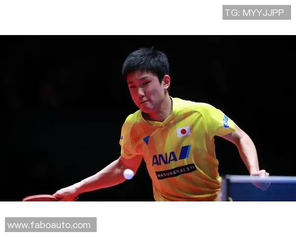 对话乒乓球名将杨军回顾辉煌生涯与未来展望MBA