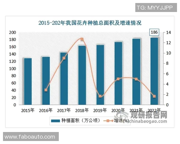 天猫与梦想比分直播的全面对比分析与未来发展趋势探讨