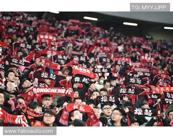 成都排球队速度之争引发热议球迷与专家各执己见