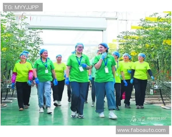 滑板文化的崛起与反击上海滑板队的奋斗与荣耀之路MBA