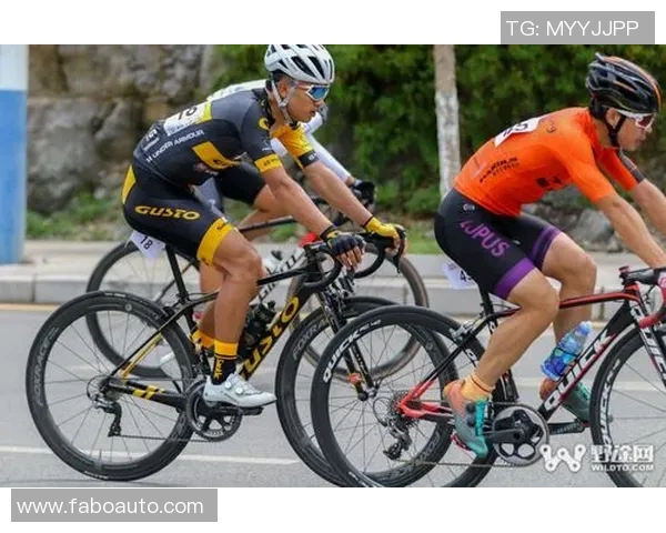 杭州足球队的耐力之路：从训练到比赛的全景解析与展望